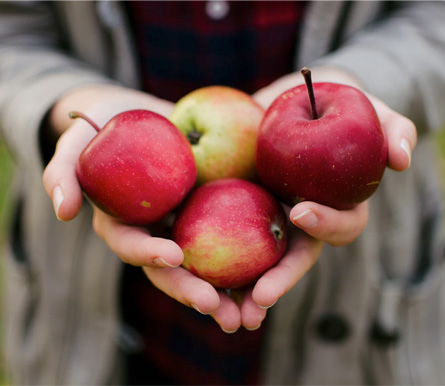 Accompagner les artisans de l'alimentaire